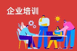 中国维龙集团有限公司